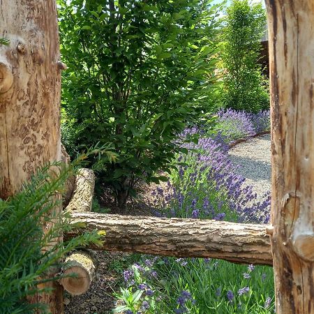 فيلا Le Jardin Des Fagnes روبرتفيل المظهر الخارجي الصورة