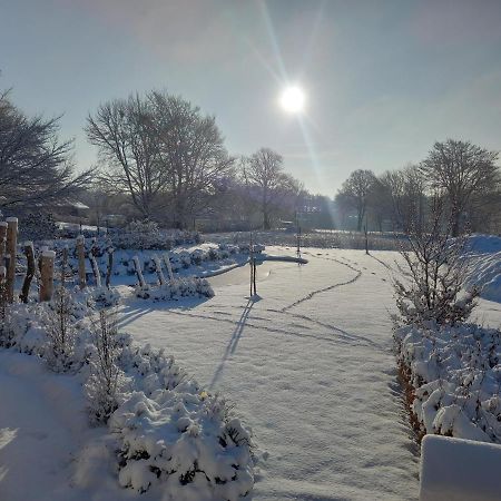 فيلا Le Jardin Des Fagnes روبرتفيل المظهر الخارجي الصورة
