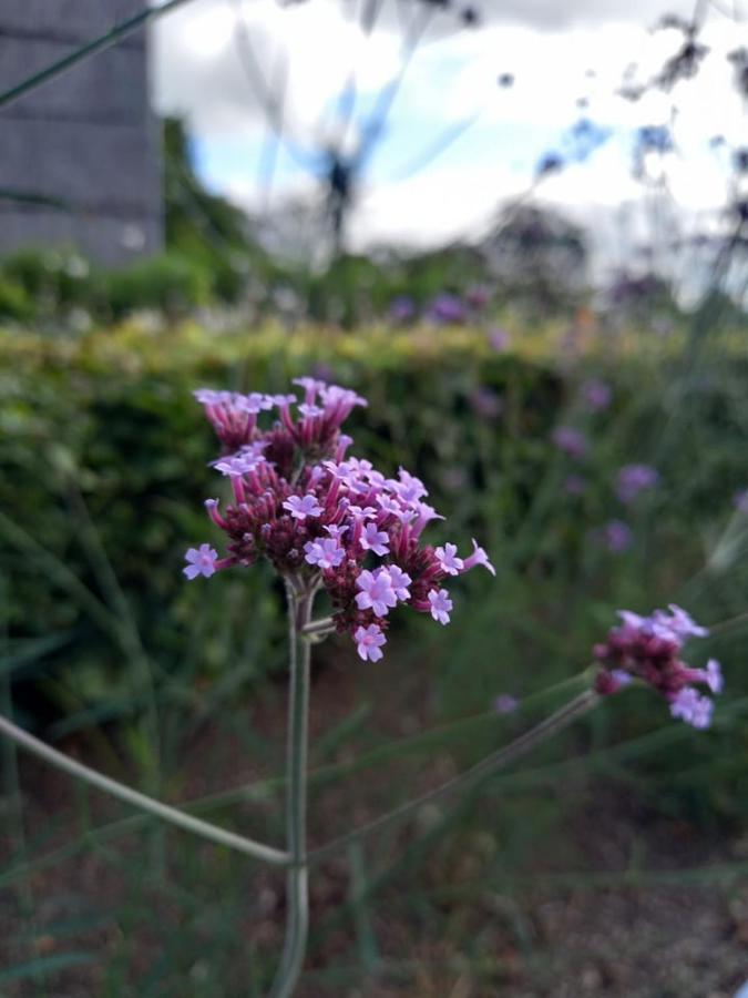 فيلا Le Jardin Des Fagnes روبرتفيل المظهر الخارجي الصورة