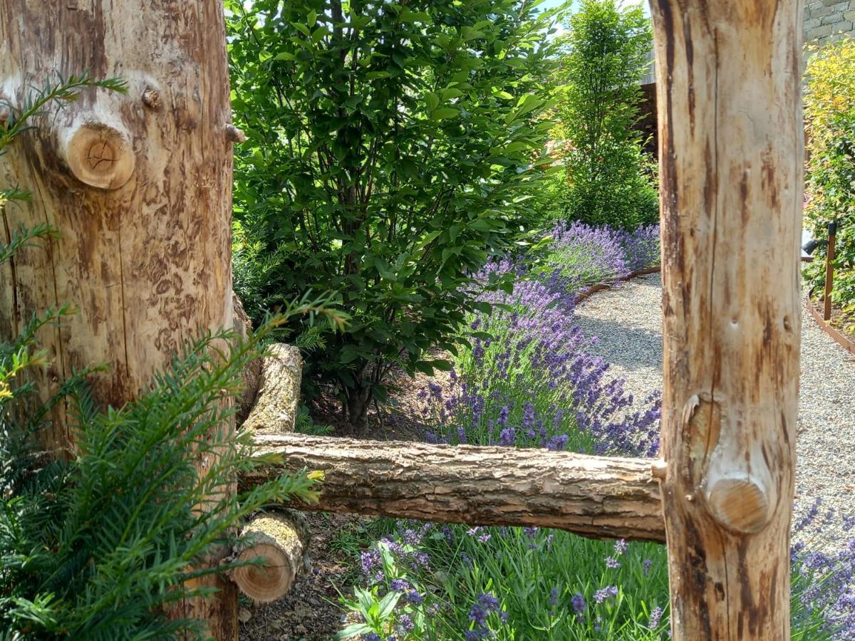 فيلا Le Jardin Des Fagnes روبرتفيل المظهر الخارجي الصورة