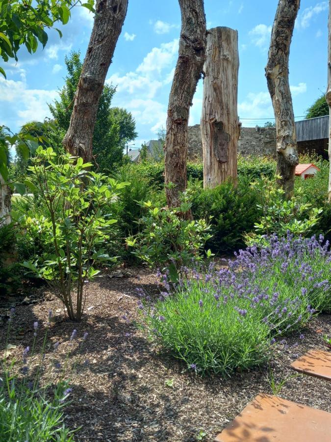 فيلا Le Jardin Des Fagnes روبرتفيل المظهر الخارجي الصورة