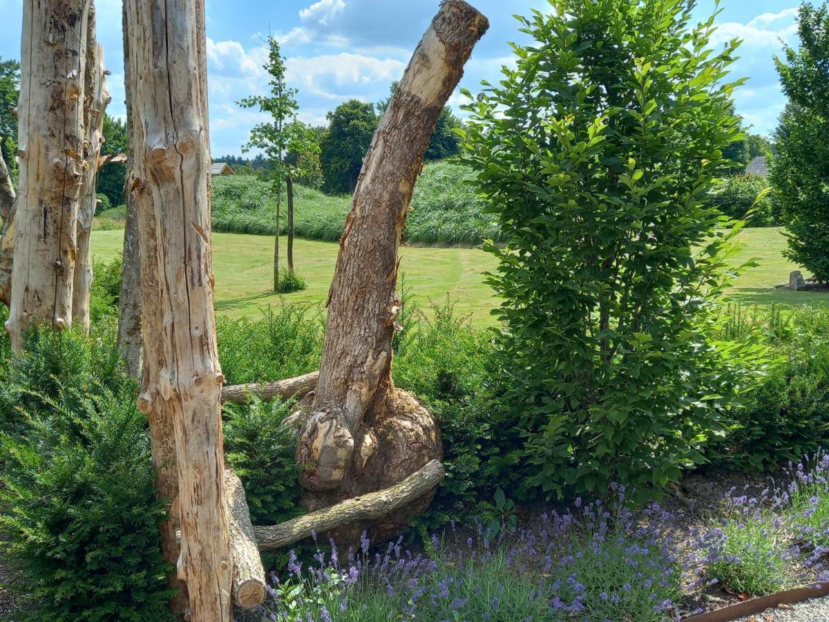 فيلا Le Jardin Des Fagnes روبرتفيل المظهر الخارجي الصورة